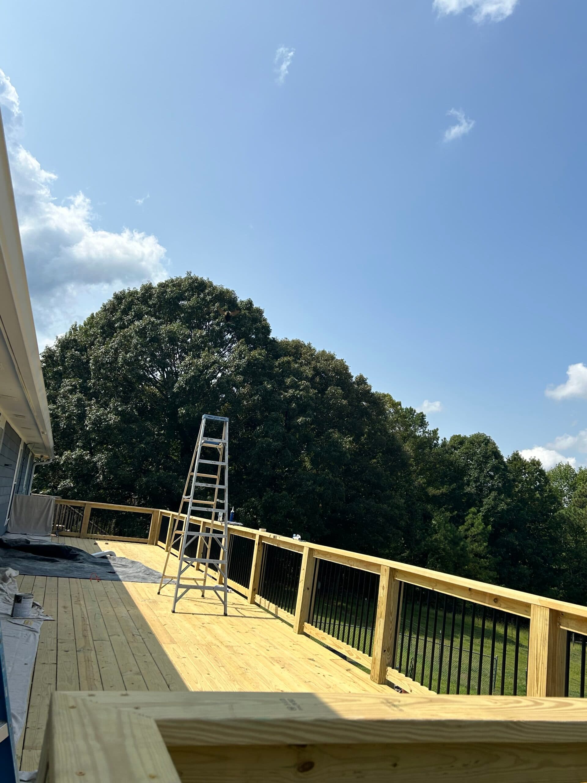 54x12 deck - Image 5